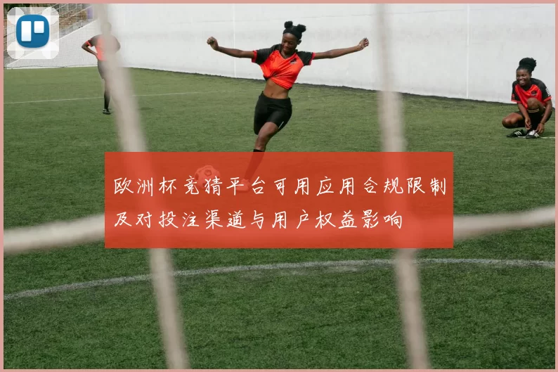欧洲杯竞猜平台可用应用合规限制及对投注渠道与用户权益影响