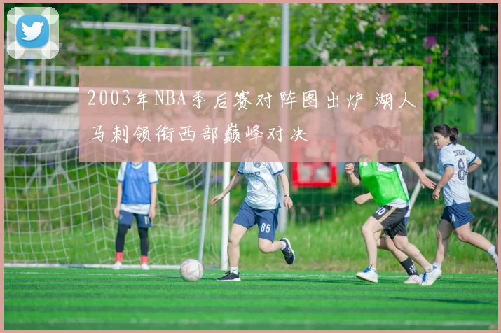 2003年NBA季后赛对阵图出炉 湖人马刺领衔西部巅峰对决