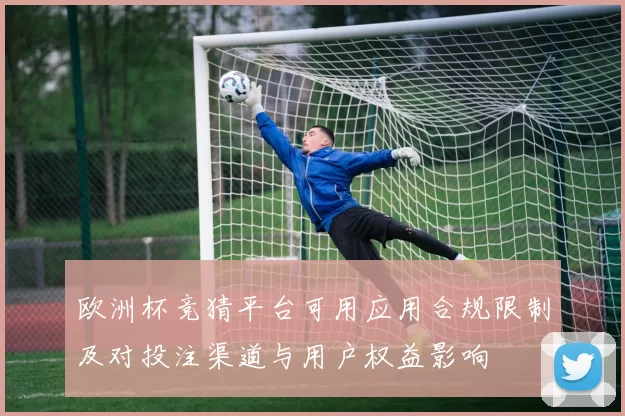 欧洲杯竞猜平台可用应用合规限制及对投注渠道与用户权益影响
