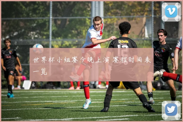 世界杯小组赛今晚上演 赛程时间表一览