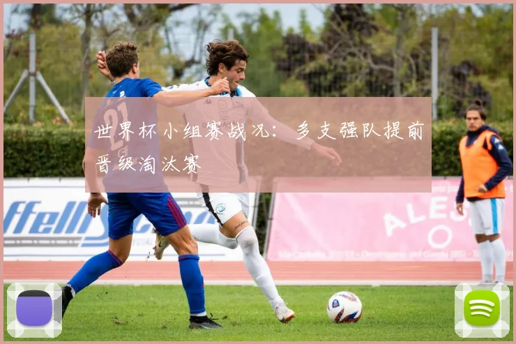 世界杯小组赛战况:多支强队提前晋级淘汰赛
