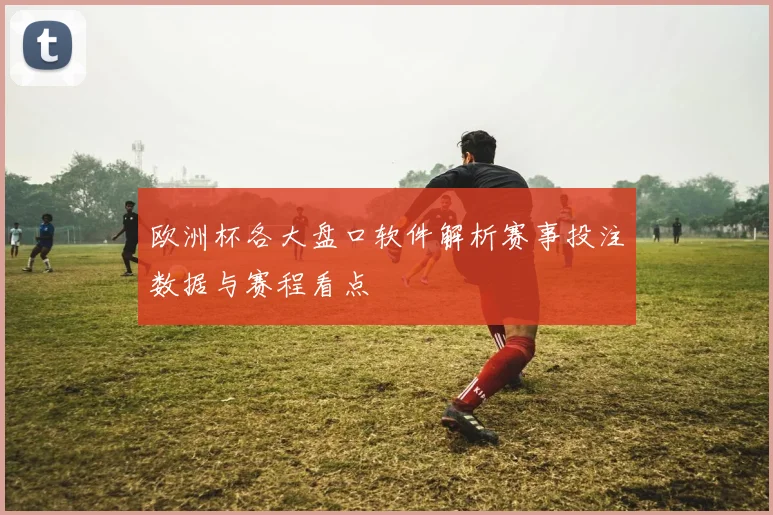欧洲杯各大盘口软件解析赛事投注数据与赛程看点
