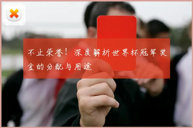 不止荣誉!深度解析世界杯冠军奖金的分配与用途