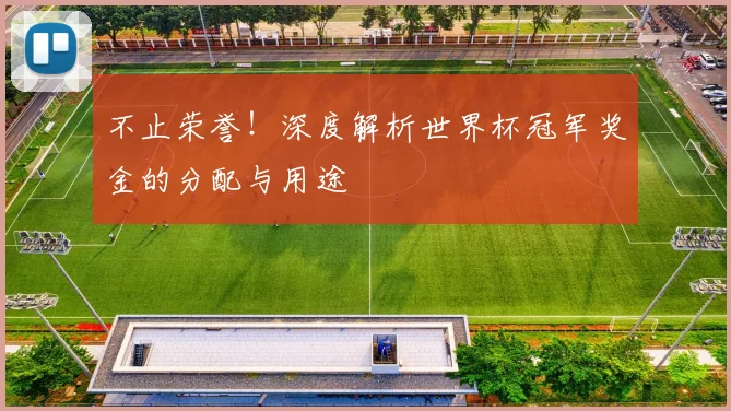 不止荣誉!深度解析世界杯冠军奖金的分配与用途