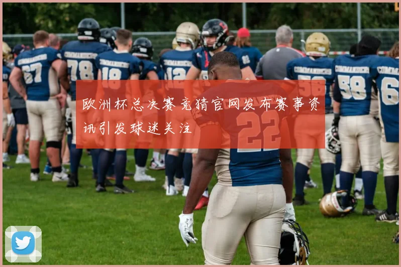欧洲杯总决赛竞猜官网发布赛事资讯引发球迷关注