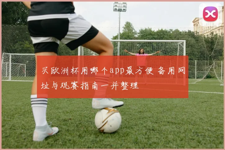 买欧洲杯用哪个app最方便 备用网址与观赛指南一并整理